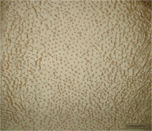 ALLOVER_BREADED fabric in Alloverbeaded X - Catania Silks